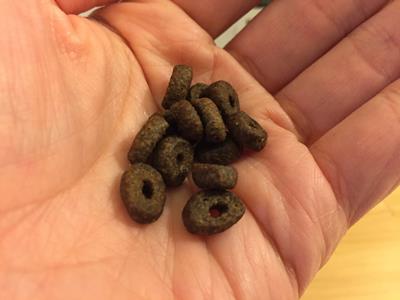 カナガンドッグフードの形