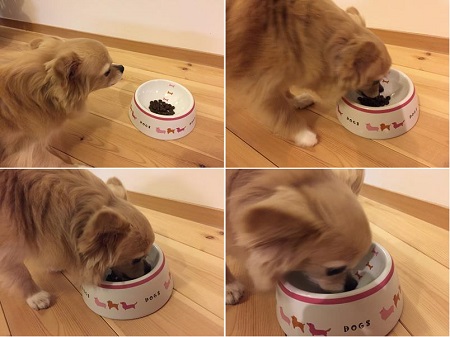 アランズはクセがある