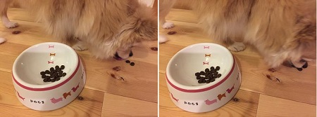 アランズは独特のニオイ